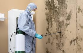 Mold Odor Removal Services in Glasgow, MO